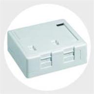 ROSETA FURUKAWA RJ45 2POS. BLANCO